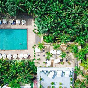 The Privilege Floor By Lotus Blanc